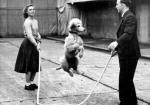 Dog Skipping Vintage pic